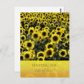 Carte postale tournesol / Vous envoyer beaucoup de (Devant / Derrière)