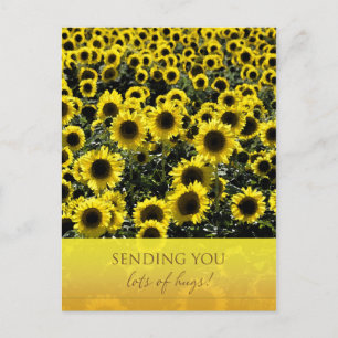 Carte postale tournesol / Vous envoyer beaucoup de