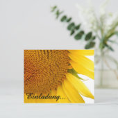 Carte Postale Tournesols (Debout devant)