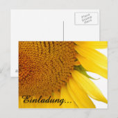 Carte Postale Tournesols (Devant / Derrière)