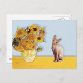 Carte Postale Tournesols - Chat Sphyx crème (Devant / Derrière)