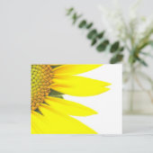 Carte Postale Tournesols de printemps (Debout devant)
