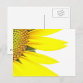 Carte Postale Tournesols de printemps (Devant / Derrière)