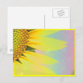 Carte Postale Tournesols de printemps (Devant / Derrière)