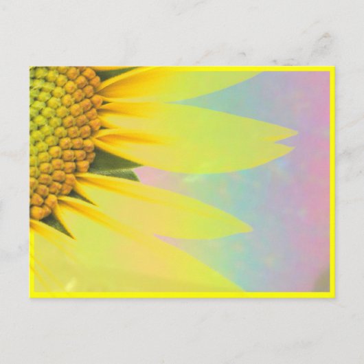 Carte Postale Tournesols de printemps (Devant)