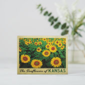 Carte Postale Tournesols du Kansas (Debout devant)