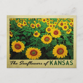 Carte Postale Tournesols du Kansas