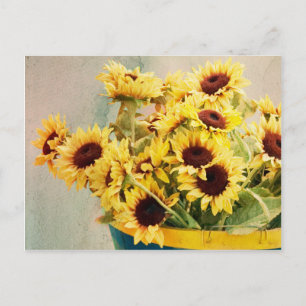 Carte Postale Tournesols en baril - horizontal