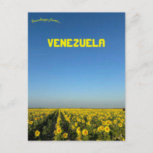 Carte Postale Tournesols en Turen Portuguesa Venezuela