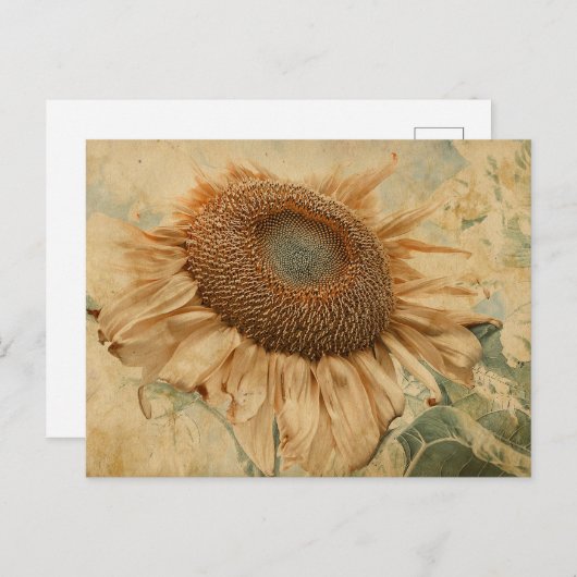 Carte Postale Tournesols géants Jaune Ancien Art Découpage Vinta (Devant / Derrière)