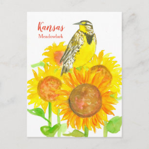 Carte Postale Tournesols Kansas Meadowlark