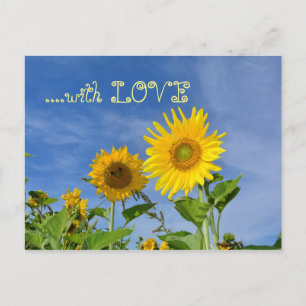 Carte Postale Tournesols pour toi ...