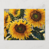 Carte Postale Tournesols Rustiques Sur Barton Imprimer (Devant)