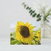 Carte postale - Tournesols Secrets d'été (Debout devant)