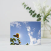 Carte Postale Tournesols & Soleil (Debout devant)