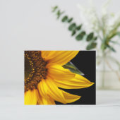 Carte Postale Tournesols - Tournesol Customisé Modèle blanc (Debout devant)