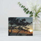 Carte Postale Tourrey Pine Sunset I California Paysage (Debout devant)