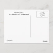 Carte Postale Tourterelle blanche (Dos)