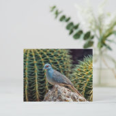 Carte Postale Tourterelle diamant ( Geopelia Cuneata ) (Debout devant)