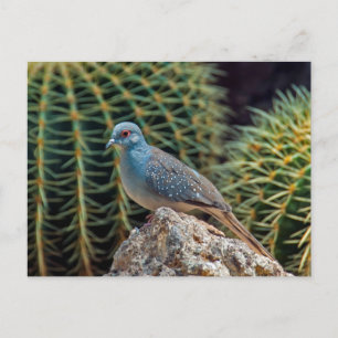 Carte Postale Tourterelle diamant ( Geopelia Cuneata )