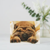 Carte Postale Tous les éléments (Debout devant)