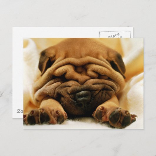 Carte Postale Tous les éléments (Devant / Derrière)