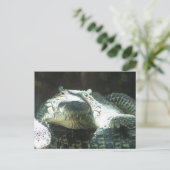 Carte Postale Tous les sourires (Debout devant)