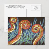 Carte Postale Tout Le Monde Atteint D'Une Façon Ou D'Une Autre (Devant / Derrière)