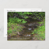 Carte Postale Tout petit ruisseau... (Devant / Derrière)
