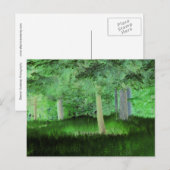 Carte Postale "Tout peut arriver" Forêt Magique Transformée (Devant / Derrière)