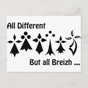 Carte Postale Toutes différentes mais toutes Breizh Bretagne