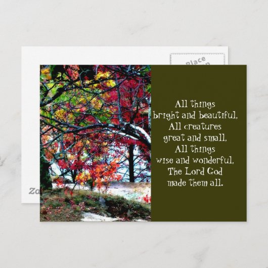 Carte Postale Toutes les choses brillantes et belles (Devant / Derrière)