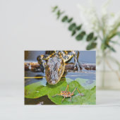 Carte Postale Toutes les créatures grandes et petites (Debout devant)