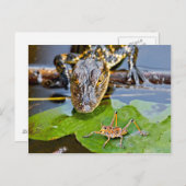 Carte Postale Toutes les créatures grandes et petites (Devant / Derrière)