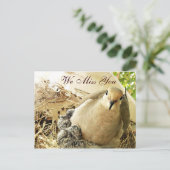 Carte Postale Toutes-occasions_ (Debout devant)