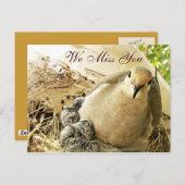 Carte Postale Toutes-occasions_ (Devant / Derrière)