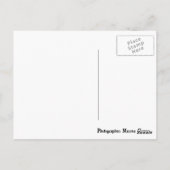 Carte Postale Tower Bridge Londres (Dos)