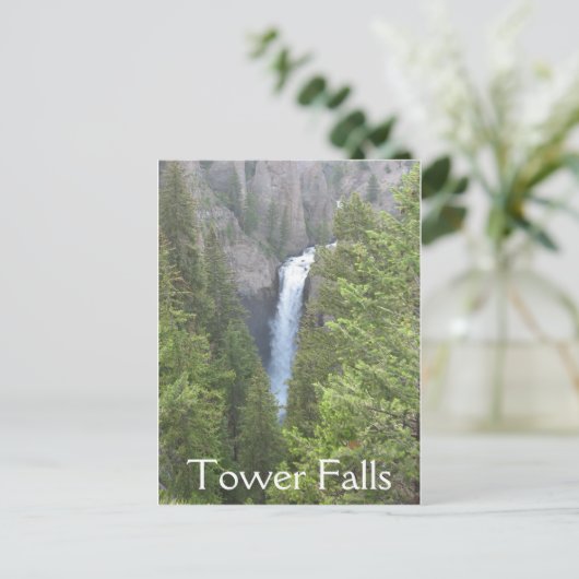 Carte Postale Tower Falls (Debout devant)
