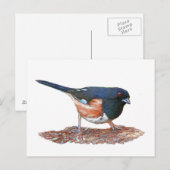 Carte Postale Towhee (Devant / Derrière)
