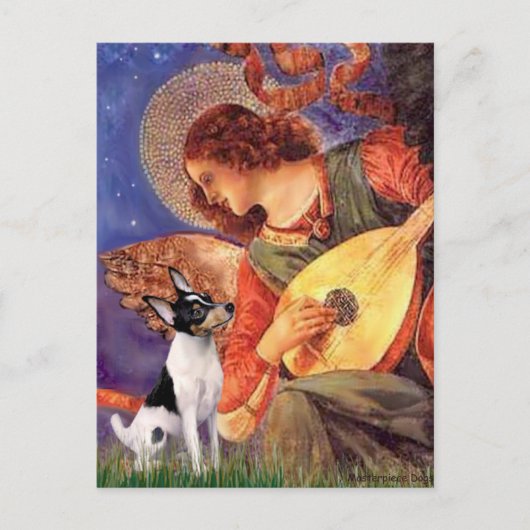 Carte Postale Toy Fox Terrier - Mandolin Angel (Devant)