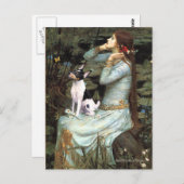 Carte Postale Toy Fox Terrier - Ophelia assis (Devant / Derrière)