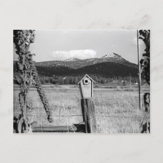 Carte Postale TR Bluebird House