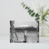 Carte Postale TR Bluebird House (Debout devant)