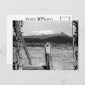 Carte Postale TR Bluebird House (Devant / Derrière)