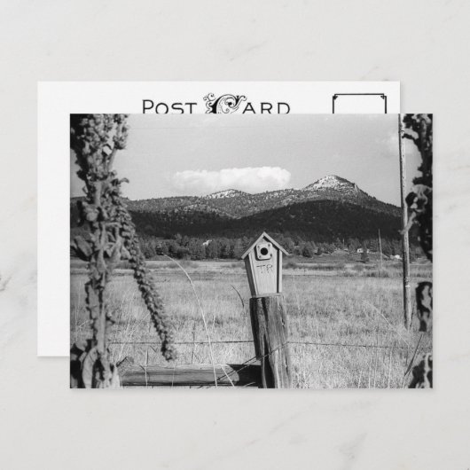 Carte Postale TR Bluebird House (Devant / Derrière)