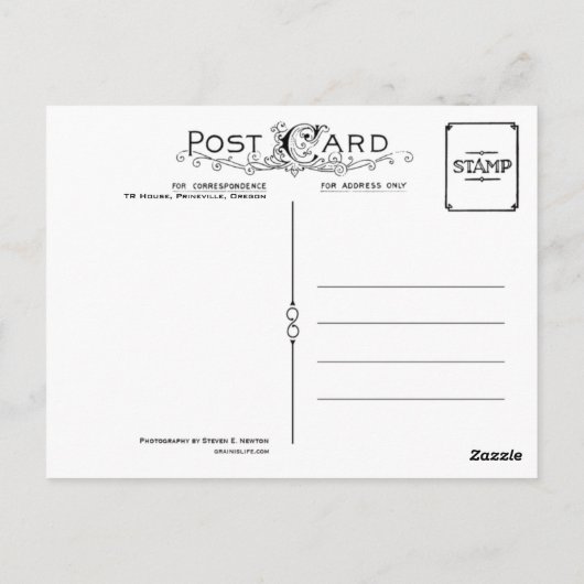 Carte Postale TR Bluebird House (Dos)