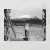 Carte Postale TR Bluebird House (Devant)