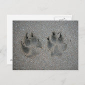 Carte Postale Traces de chien dans le sable (Devant / Derrière)