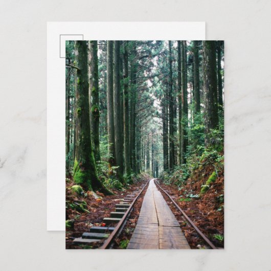 Carte Postale Traces ferroviaires dans la forêt (Devant / Derrière)