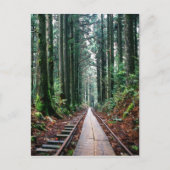 Carte Postale Traces ferroviaires dans la forêt (Devant)